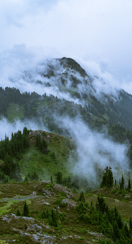 Best Hikes and Parks in California's PNW